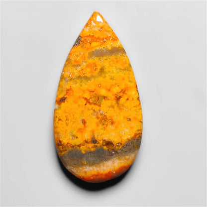 Bumble Bee Jasper