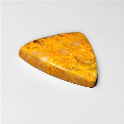 Bumble Bee Jasper