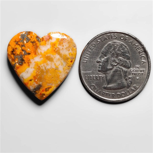 Bumble Bee Jasper