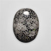 Fossil Coral