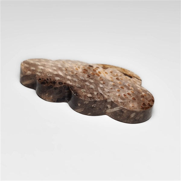 Palmroot