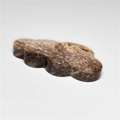 Palmroot