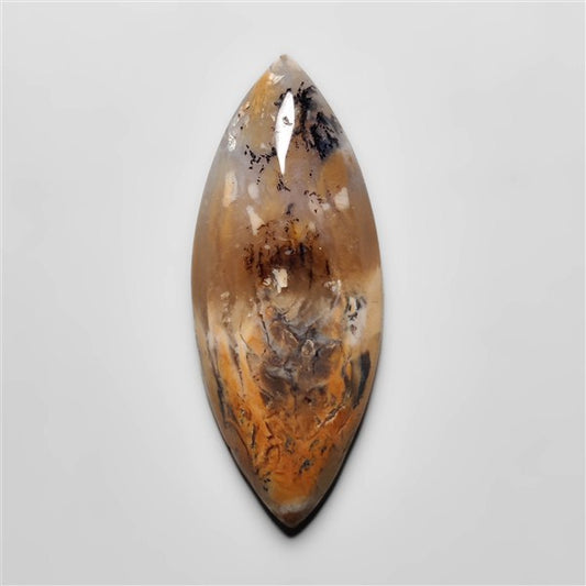 Dendritic Agate