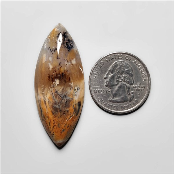 Dendritic Agate
