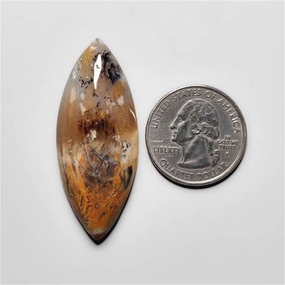 Dendritic Agate