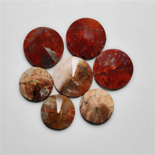 Petrified Wood