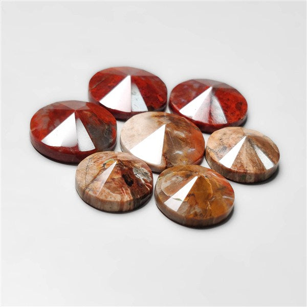 Petrified Wood