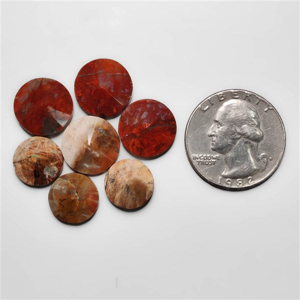 Petrified Wood