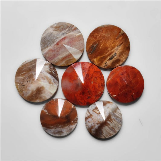 Petrified Wood