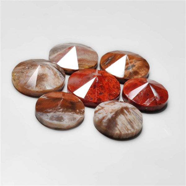 Petrified Wood