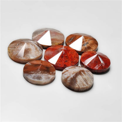 Petrified Wood