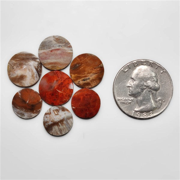 Petrified Wood