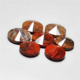 Petrified Wood