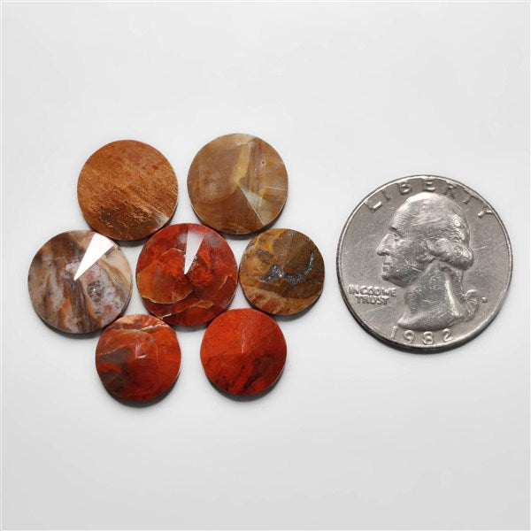 Petrified Wood