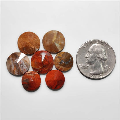 Petrified Wood