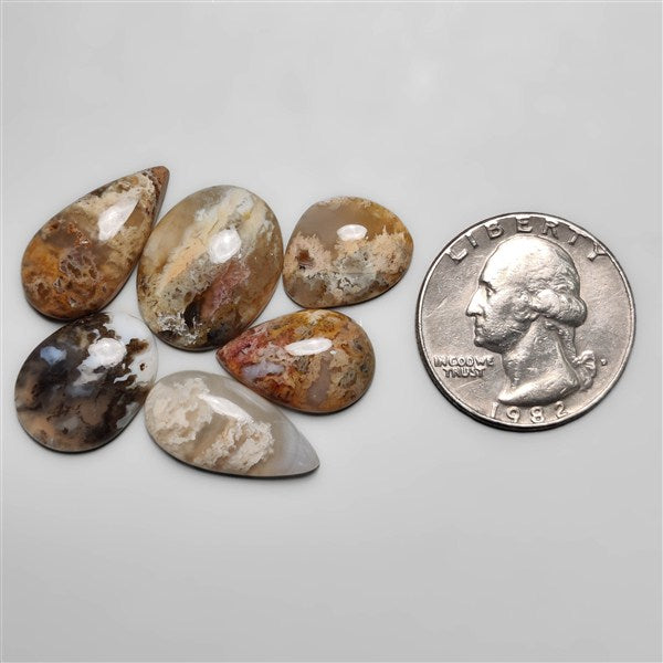 Plume Agate