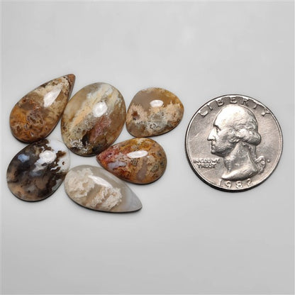Plume Agate