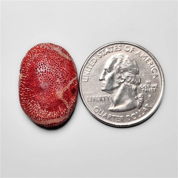 Coral