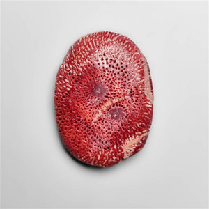 Natural Red Coral Cabochon