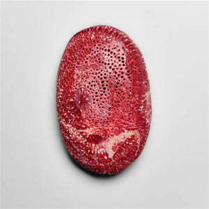 Natural Red Coral Cabochon
