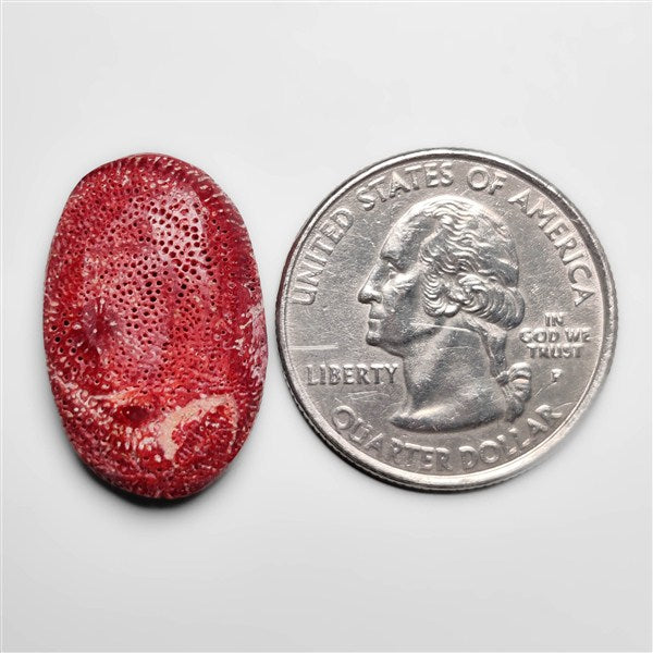 Coral