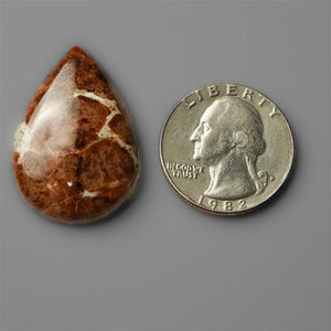 Garnet In Limestone