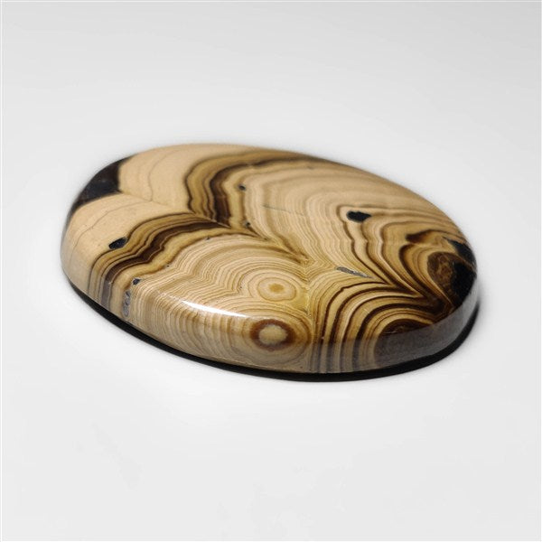 Schalenblende