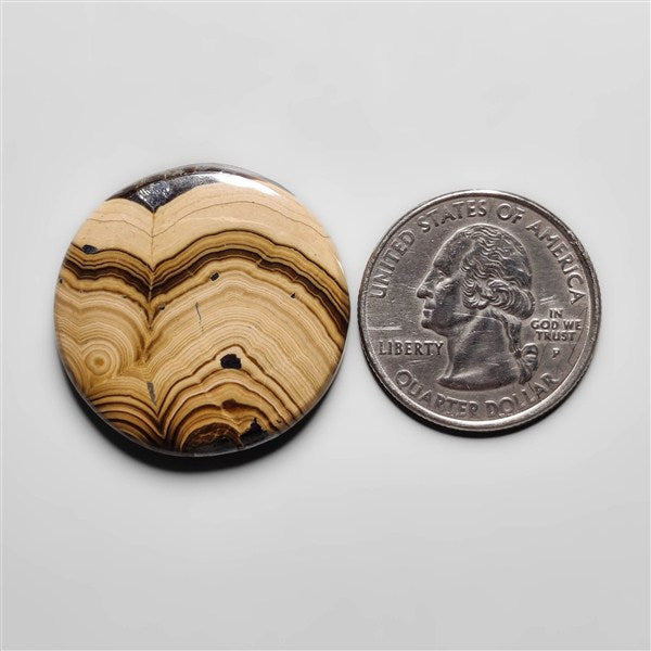 Schalenblende