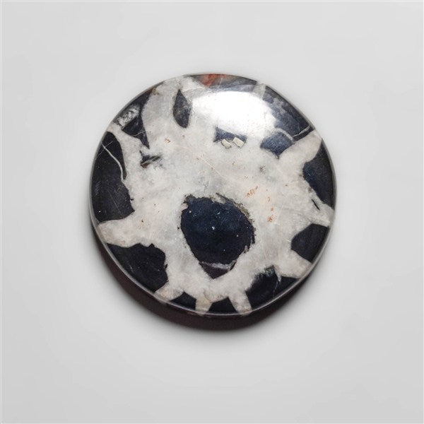 Septarian