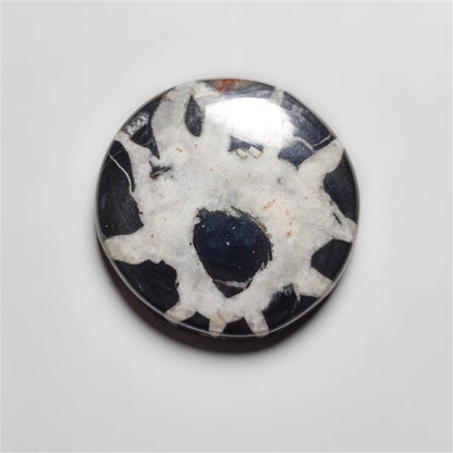Septarian
