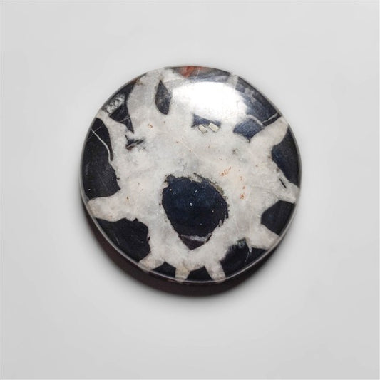 Septarian