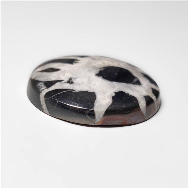 Septarian
