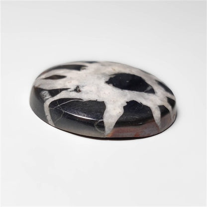 Septarian