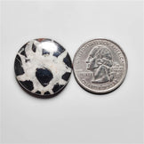 Septarian