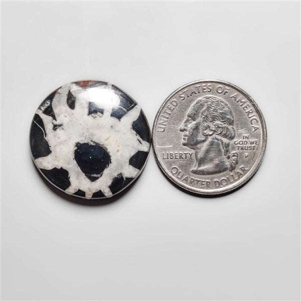 Septarian
