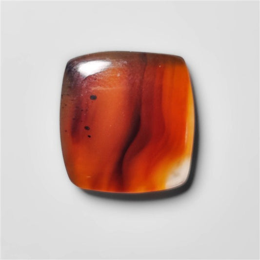 Montana Agate