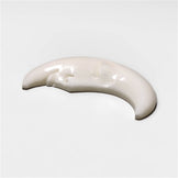 Bone