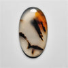 Montana Agate