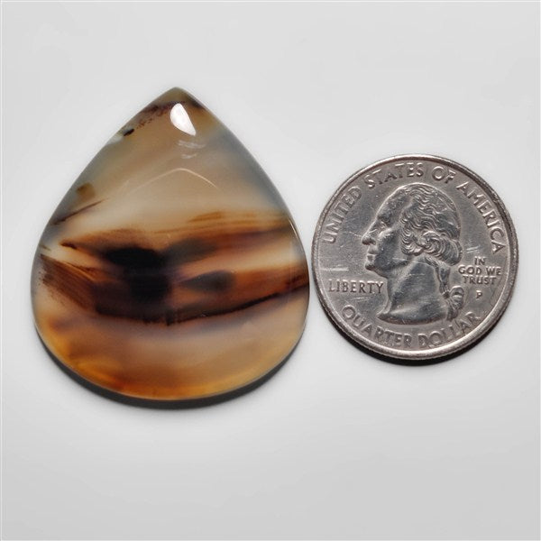 Montana Agate
