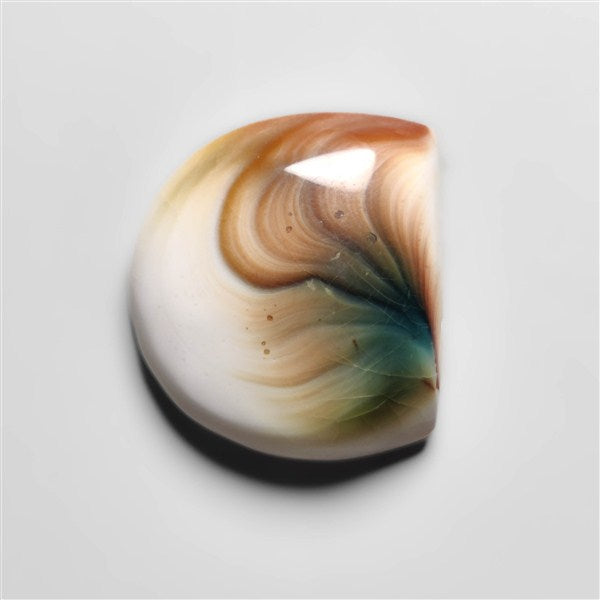 Shiva Eye Shell
