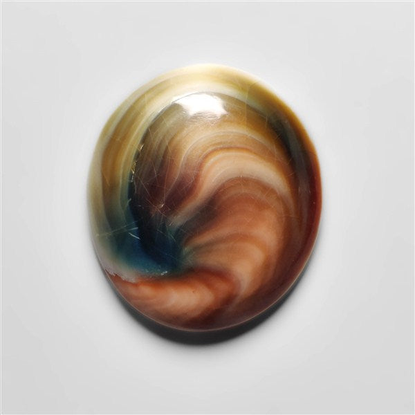 Shiva Eye Shell | Shiva Eye Shell (26X23X7 mm) | Gemstones For Sale