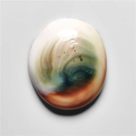 Shiva Eye Shell