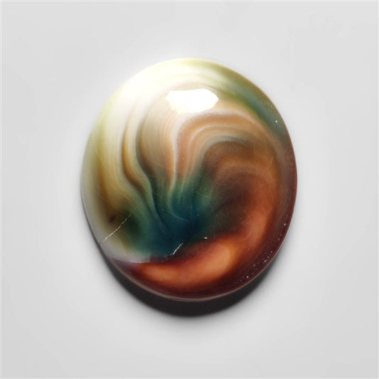 Shiva Eye Shell