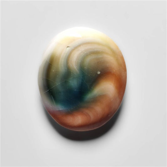 Shiva Eye Shell