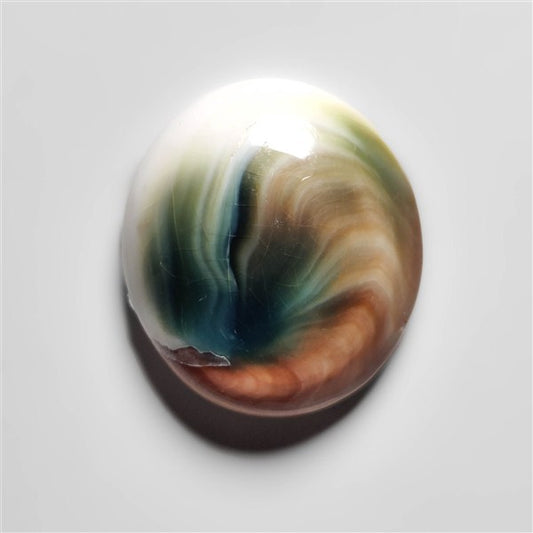 Shiva Eye Shell