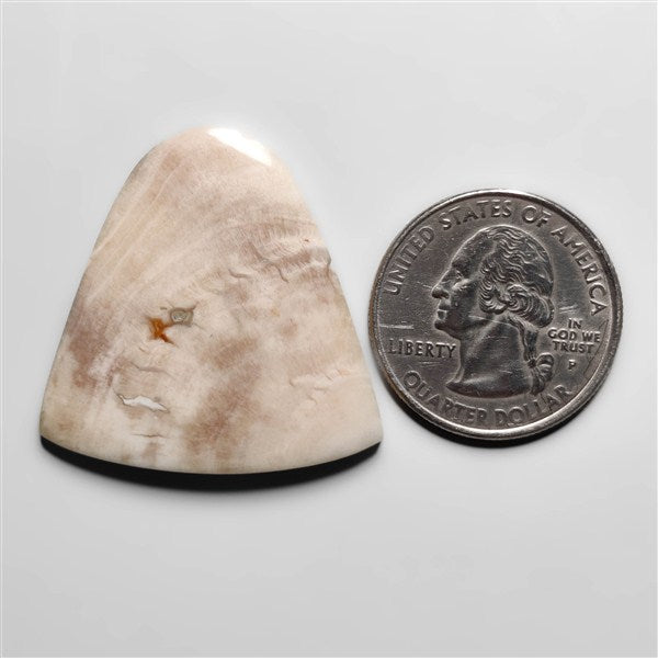 Peanut Wood Jasper