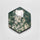 Crystal|Moss Agate