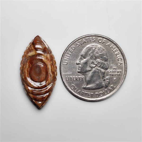 Peanut Wood Jasper