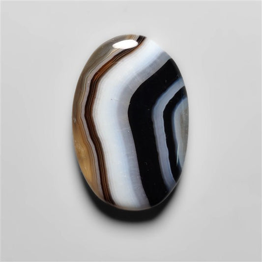Tuxedo Agate
