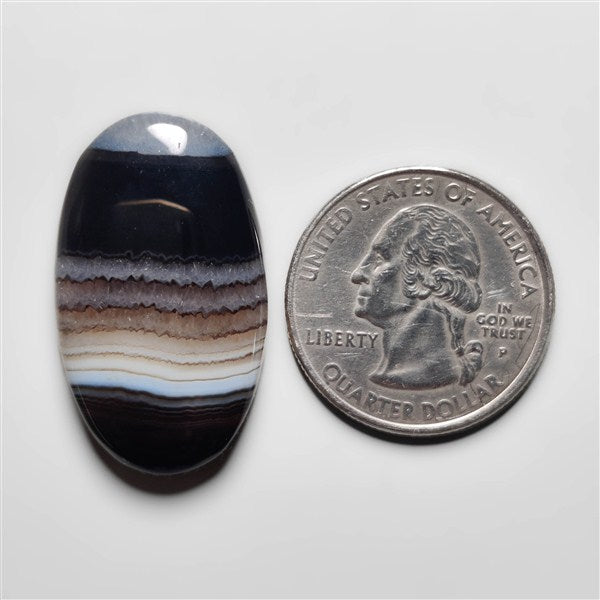 Tuxedo Agate
